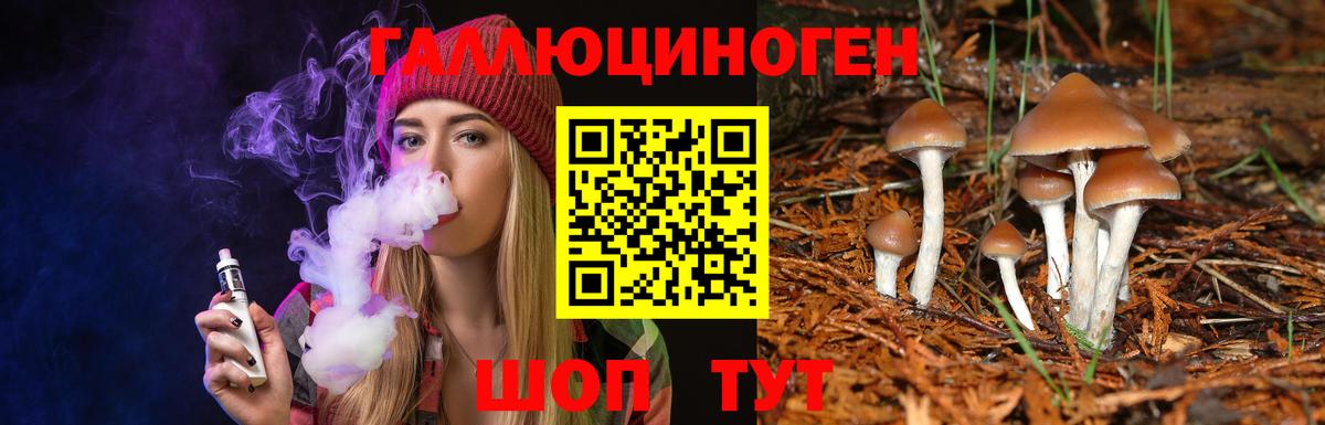 Наро-Фоминск  Псилоцибиновые грибы Magic Shrooms  Вход с VPN 